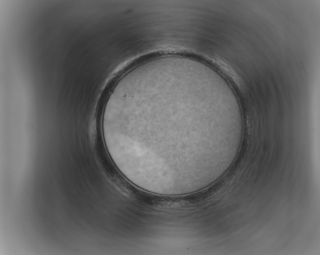 X0000111940488200908171300