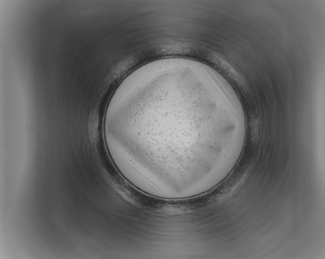 X0000111940490200908171300