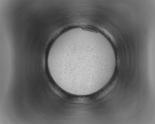 X0000111940493200908171300