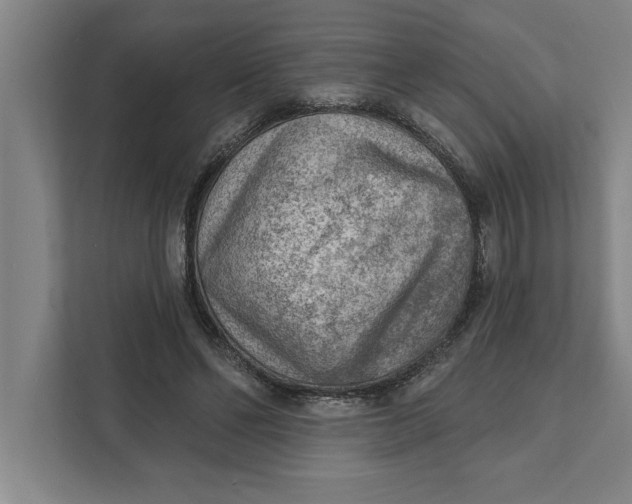 X0000111940494200908171300