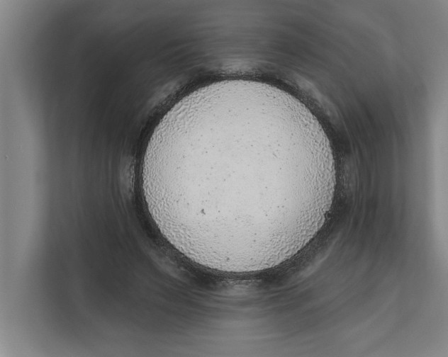 X0000111940495200908171300