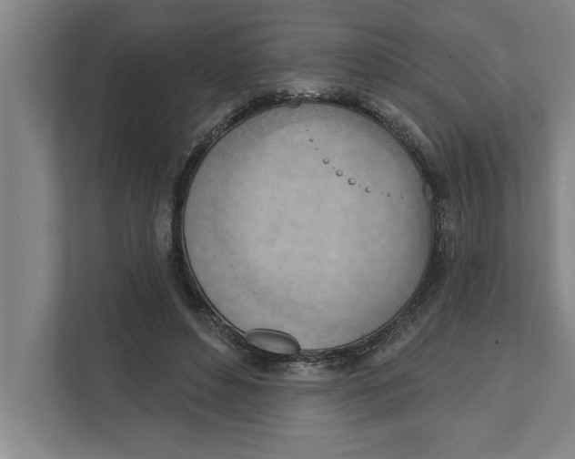 X0000111940496200908171300