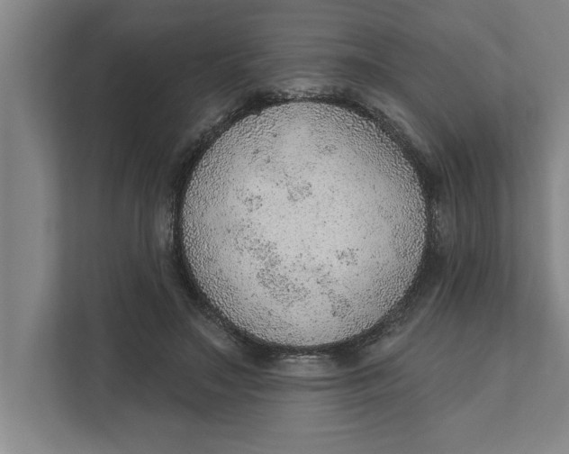 X0000111940499200908171300