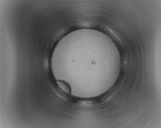 X0000111940500200908171300