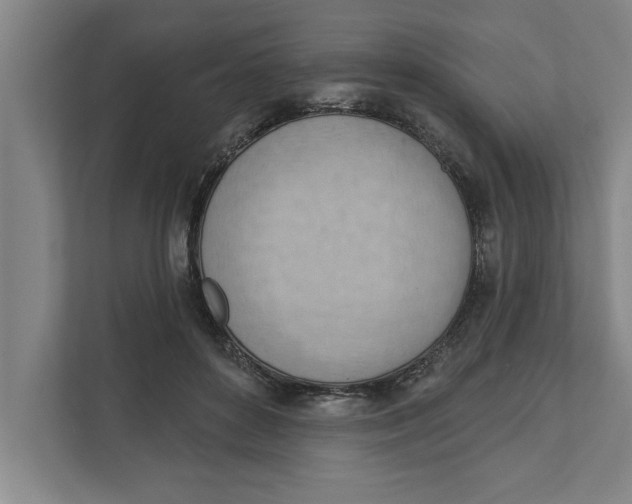 X0000111940504200908171300