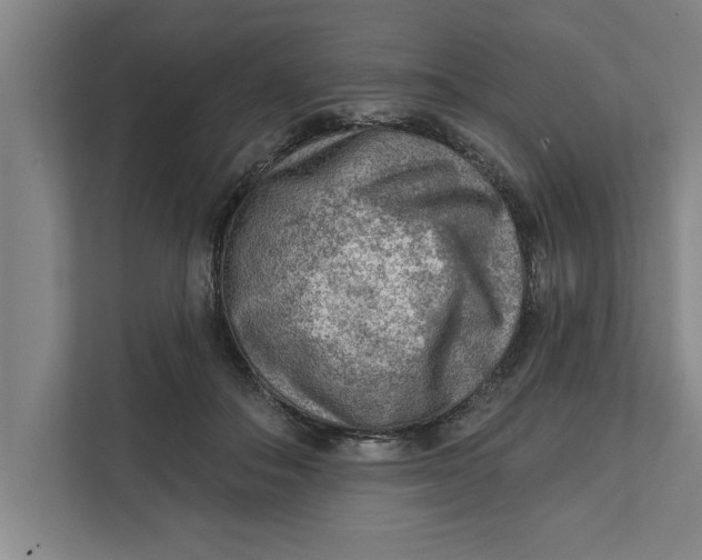 X0000111940506200908171300