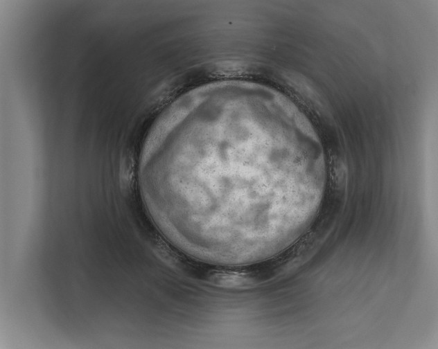 X0000111940507200908171300