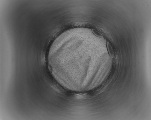 X0000111940508200908171300