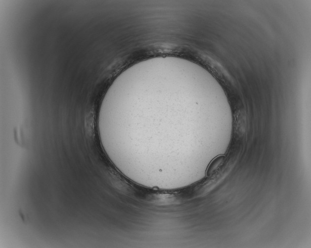 X0000111940509200908171300