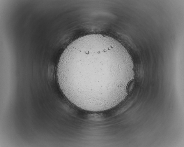 X0000111940511200908171300