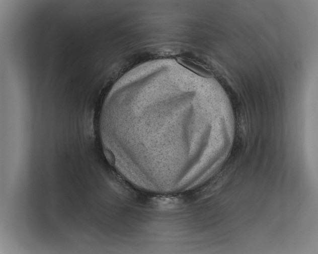 X0000111940512200908171300