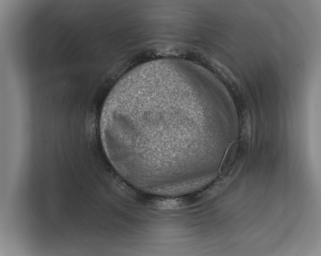 X0000111940513200908171300