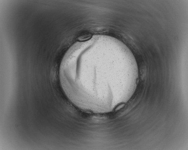 X0000111940515200908171300