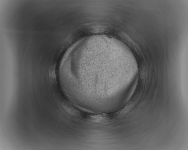 X0000111940516200908171300