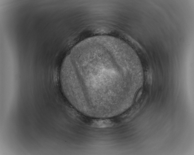 X0000111940517200908171300