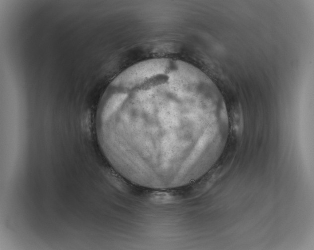 X0000111940519200908171300