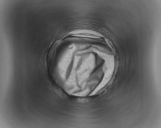 X0000111940520200908171300