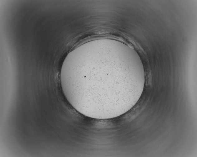 X0000111940521200908171300