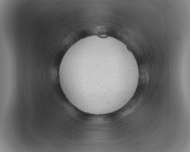 X0000111940523200908171259