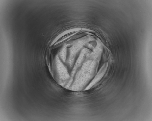 X0000111940524200908171259