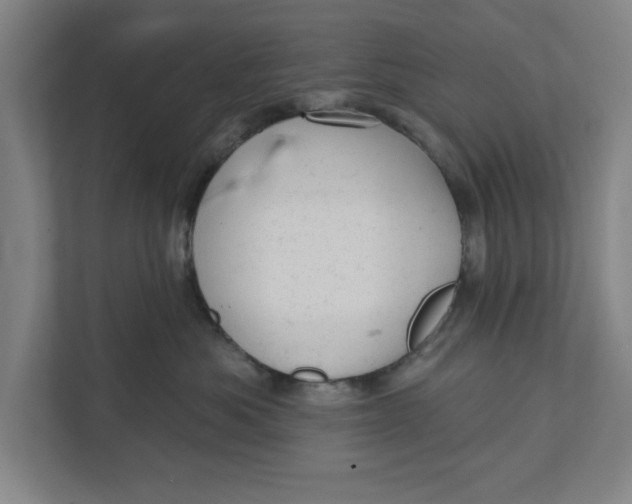 X0000111940525200908171259