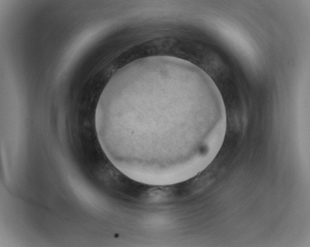 X0000111940526200908171259