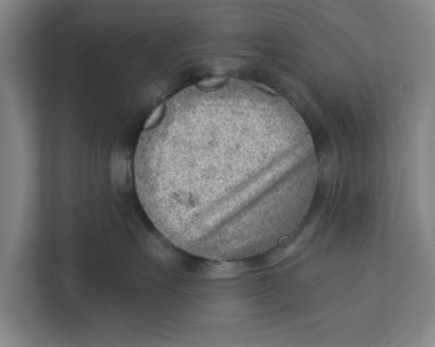 X0000111940527200908171259