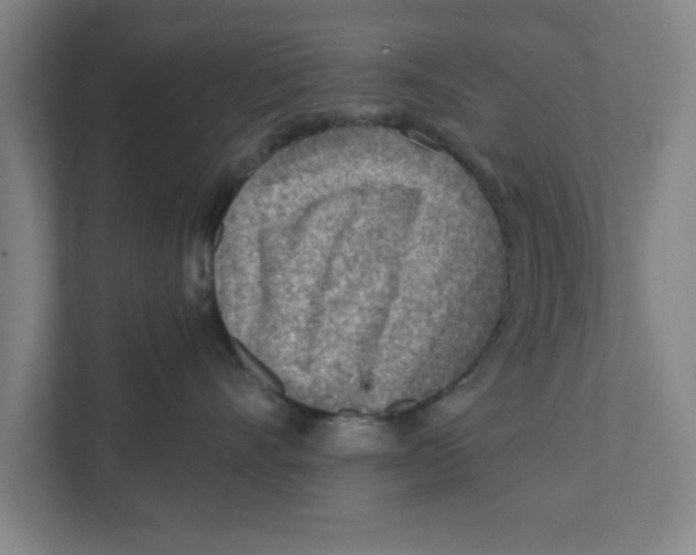 X0000111940528200908171259