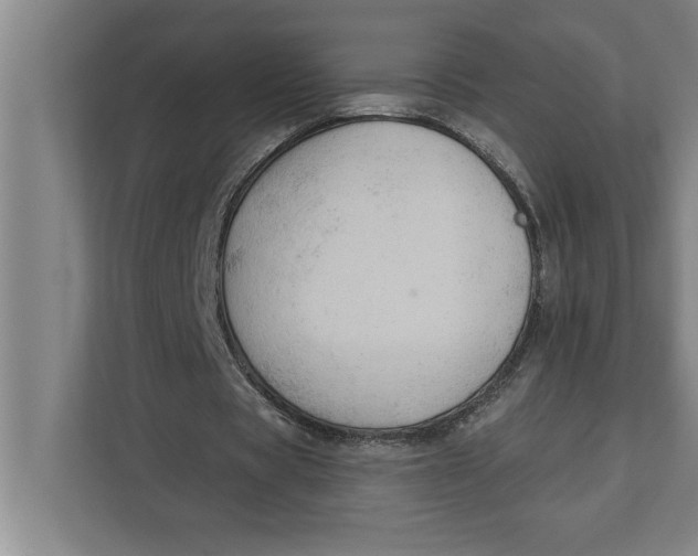 X0000111940529200908171259