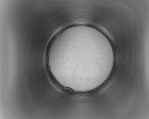 X0000111940530200908171259