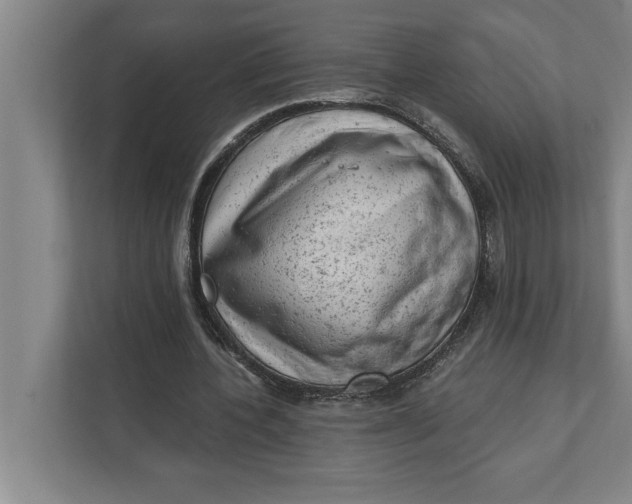 X0000111940532200908171259