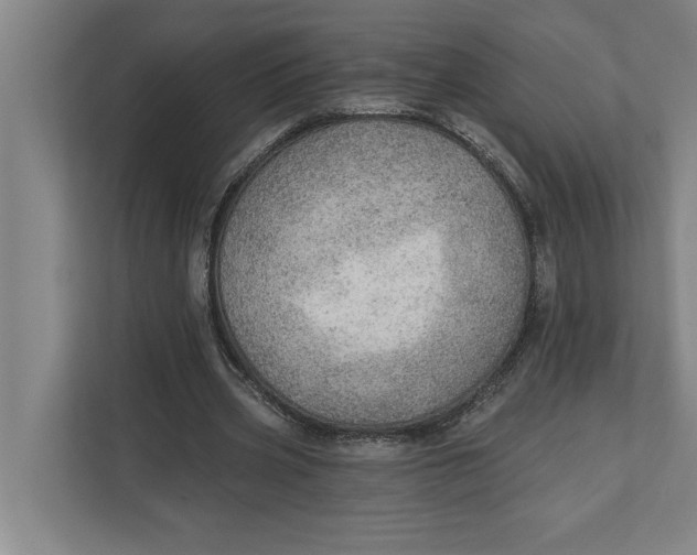 X0000111940533200908171259