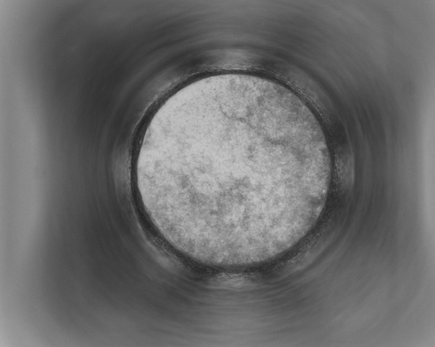 X0000111940534200908171259