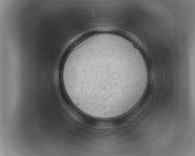 X0000111940535200908171259