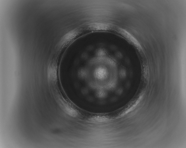 X0000111940537200908171259