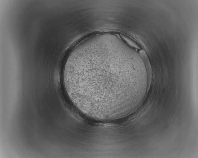 X0000111940539200908171259