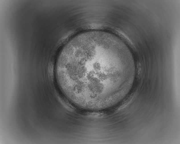 X0000111940542200908171259