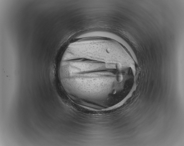 X0000111940544200908171259