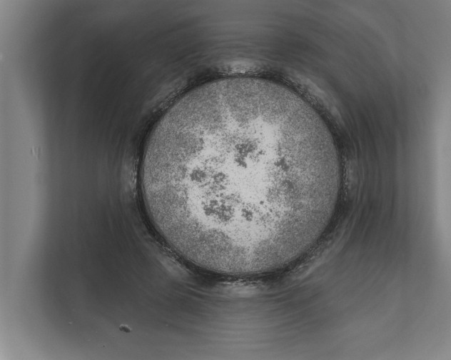 X0000111940545200908171259