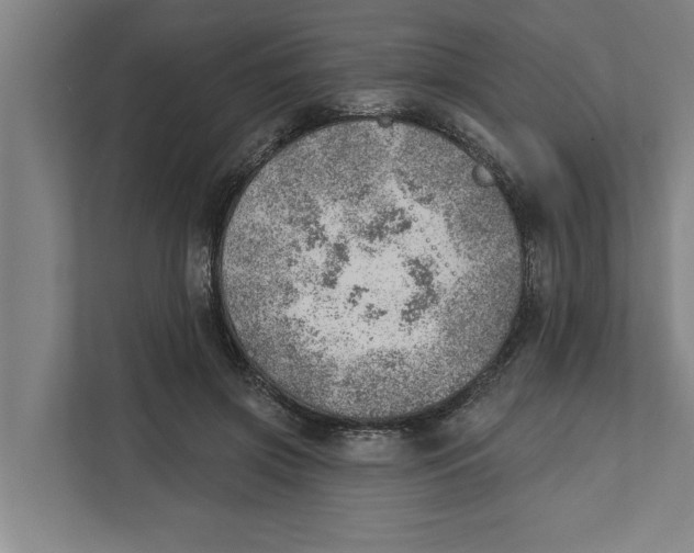 X0000111940549200908171259