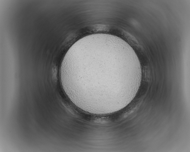 X0000111940550200908171259