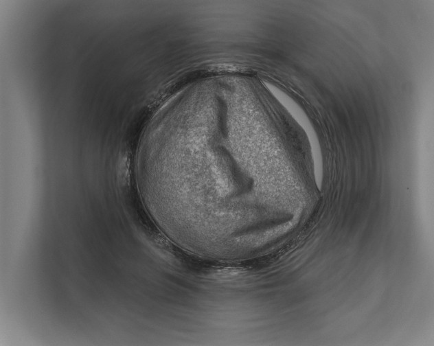 X0000111940551200908171259