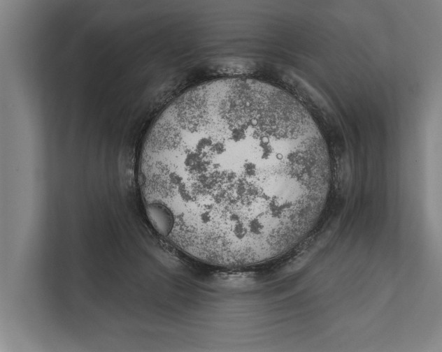 X0000111940553200908171259