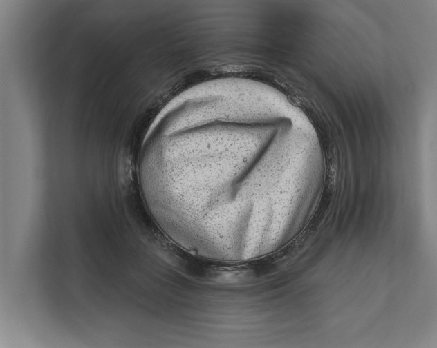 X0000111940555200908171259