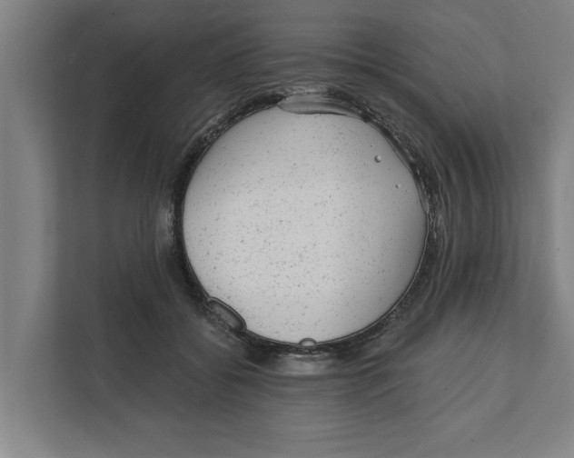 X0000111940556200908171259