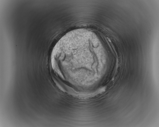 X0000111940560200908171259