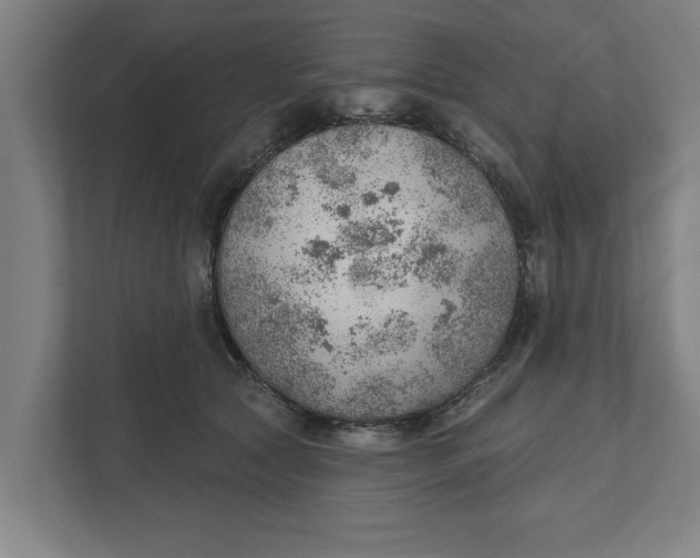 X0000111940561200908171259