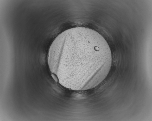 X0000111940563200908171259