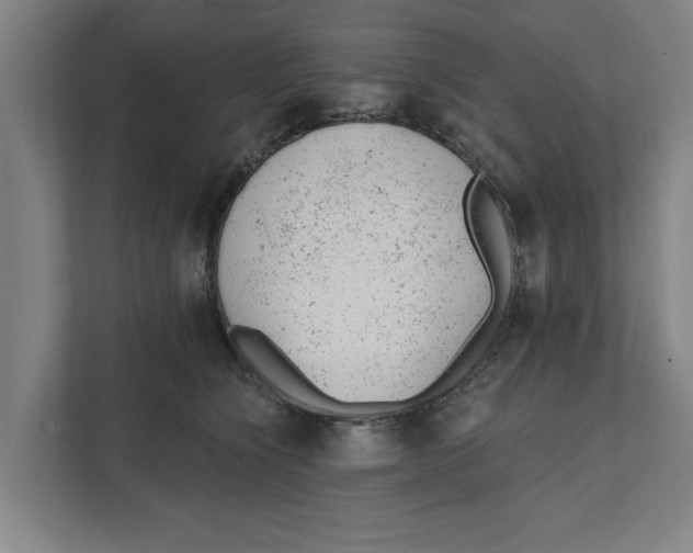 X0000111940564200908171259