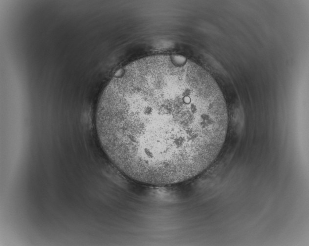 X0000111940565200908171259